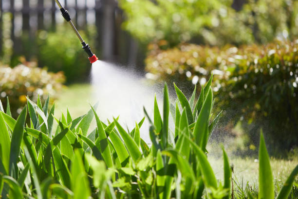 24/7 Emergency Mosquito Control experts in Pascoag, RI