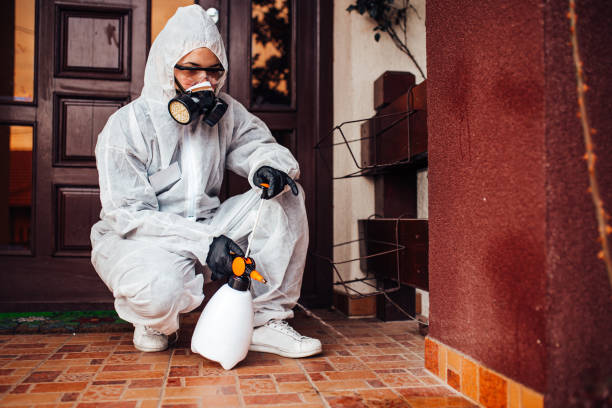 Reliable Mosquito Control contractor in Pascoag, RI by Nex Pest Control